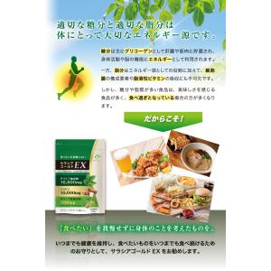 サラシアゴールドEX サラシア イヌリン オリ...の詳細画像4