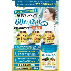 鉄 鉄分 18mg 亜鉛 15mg セレン 2...の詳細画像3