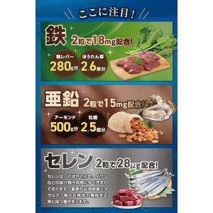 鉄 鉄分 18mg 亜鉛 15mg セレン 2...の詳細画像5