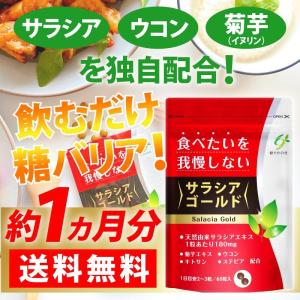 サラシア 10800mg含有 ウコン 菊芋 イヌリン サプリ サラシアゴールド 30日分 ダイエット 糖質 炭水化物 ダイエット 糖質制限｜1stマーケット