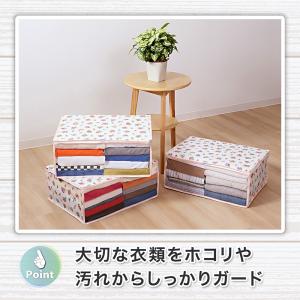 アストロ 衣類収納ケース 3個組 色柄おまかせ...の詳細画像2