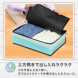 アストロ 衣類収納ケース 3個組 色柄おまかせ...の詳細画像4