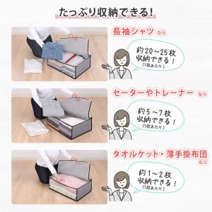 アストロ公式 製品保証付き 衣類収納袋 活性炭...の詳細画像4