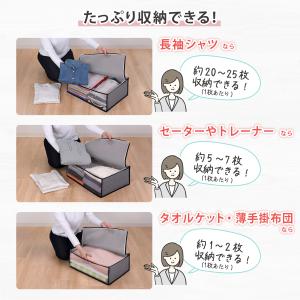 アストロ公式 衣類収納袋 2枚組 活性炭消臭 ...の詳細画像4