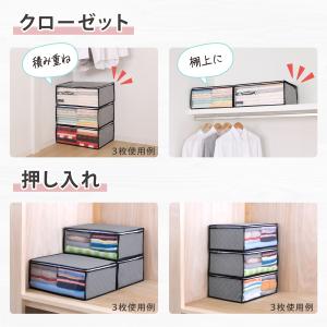 アストロ公式 衣類収納袋 2枚組 活性炭消臭 ...の詳細画像5