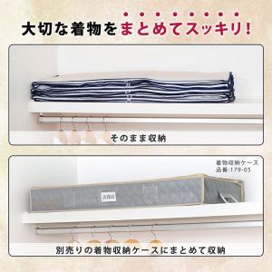 アストロ公式 着物収納ケース 2方開き 10枚...の詳細画像5