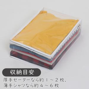 アストロ クリア収納ケース 4個組 中身が見え...の詳細画像4