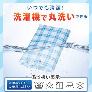 アストロ公式 製品保証付き 在庫処分特価 ハン...の詳細画像2