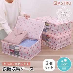 FL 防虫・防ダニ加工衣類整理袋 85671 「ポスト投函送料無料