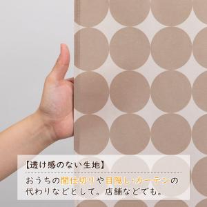 期間限定特価 アストロ公式 製品保証付き のれ...の詳細画像3