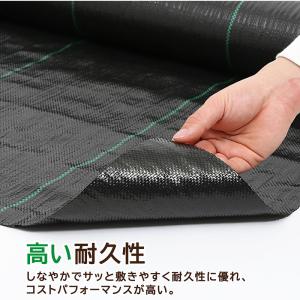 アストロ公式 防草シート 1×50m ブラック...の詳細画像1