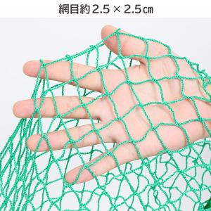 アストロ公式 養生ネット 5m×5m ケース付...の詳細画像2