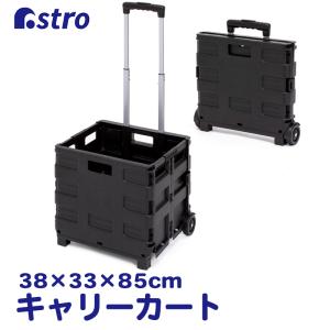 IRIS OHYAMA（アイリスオーヤマ） キャリーカート 折りたたみ 軽量