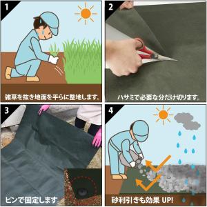 アストロ 防草シート 1×20m グリーン 除...の詳細画像4