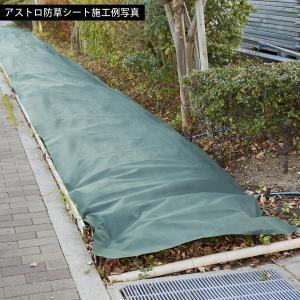 アストロ 防草シート 1×20m グリーン 除...の詳細画像5