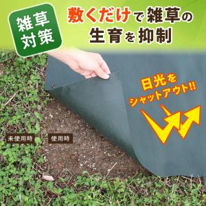 アストロ 防草シート 1×10m 2セット 固...の詳細画像2