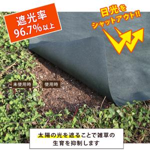 アストロ 防草シート 1×10m 2セット 固...の詳細画像3
