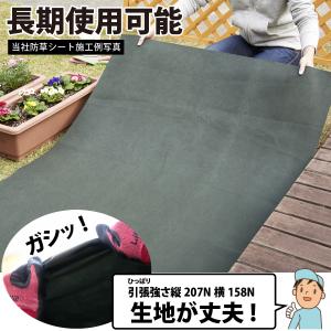 アストロ公式 防草シート 改良版 1×10m ...の詳細画像5