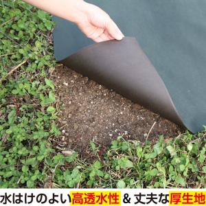 アストロ公式 製品保証付き 防草シート 1×1...の詳細画像3