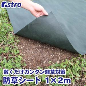 アストロ公式 製品保証付き 防草シート 1×2m 除草シート グリーン 不織布 厚手 高透水 UV耐候剤配合 高耐久 農業 園芸用 ガーデニング アストロ 602-44