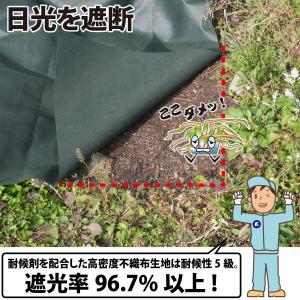 アストロ公式 製品保証付き 防草シート 1×2...の詳細画像2
