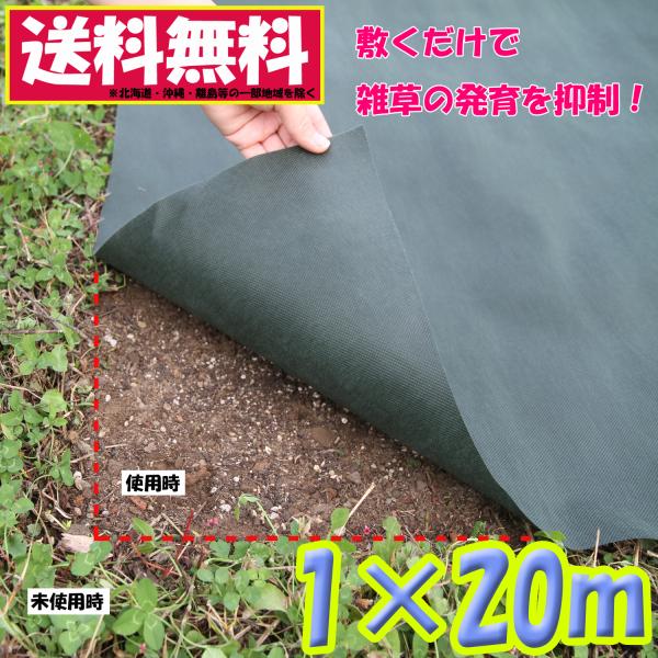 防草シート 1×20m グリーン 不織布 厚手 除草シート 農用シート 高透水 UV耐候剤配合 高耐...