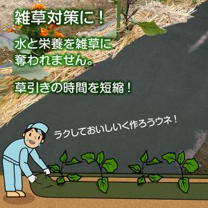 アストロ公式 製品保証付き 防草シート 0.5...の詳細画像1
