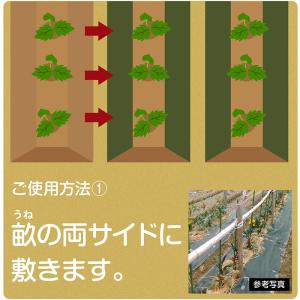 アストロ公式 製品保証付き 防草シート 0.5...の詳細画像2