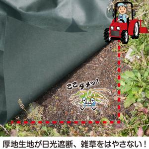 アストロ公式 製品保証付き 防草シート 0.5...の詳細画像4