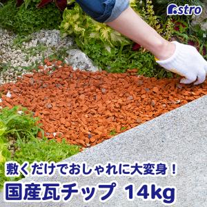 業販専用 格安☆工場渡し☆造園・ガーデニング・グランドカバーに