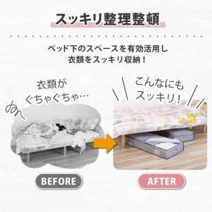 アストロ公式 製品保証付き ベッド下収納ケース...の詳細画像3