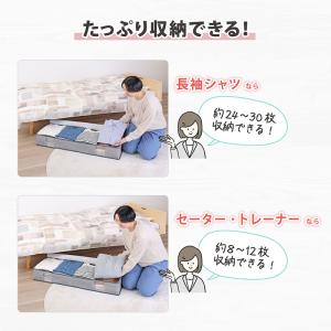 アストロ公式 製品保証付き ベッド下収納ケース...の詳細画像4