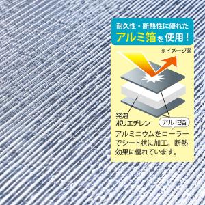 アストロ エアコン室外機カバー ひさし付き 電...の詳細画像2