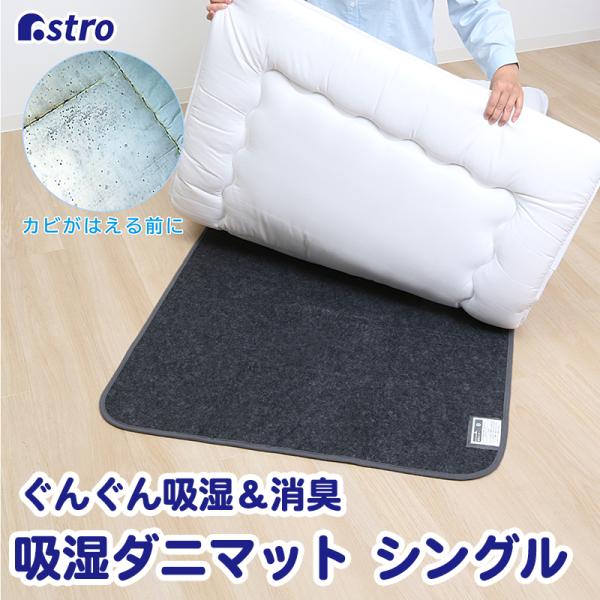 除湿シート グレーブラック シングルサイズ用 強力吸湿 除湿マット 活性炭 消臭 防ダニ 湿気 ぐん...