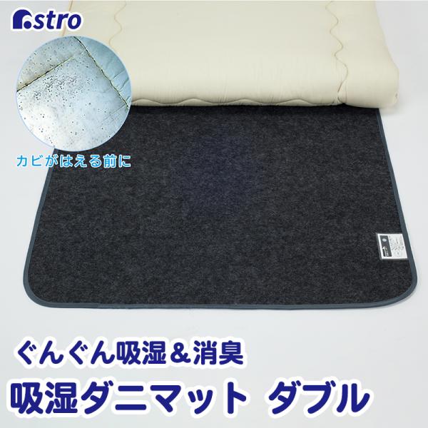 除湿シート グレーブラック ダブルサイズ用 強力吸湿 除湿マット 活性炭 消臭 防ダニ 湿気 ぐんぐ...
