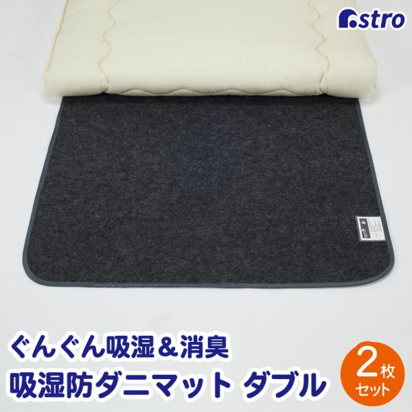 除湿シート ダブルサイズ用 2枚組 活性炭 消臭 防ダニ 防カビ 寝具用 強力吸湿 除湿マット 特殊...