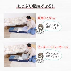 アストロ公式 製品保証付き ベッド下収納ケース...の詳細画像4