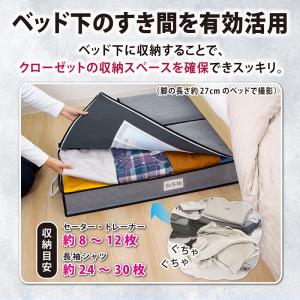 アストロ公式 ベッド下収納ケース 除湿シート付...の詳細画像2