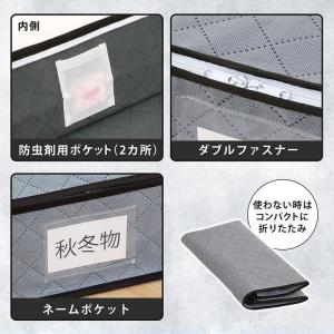 アストロ公式 ベッド下収納ケース 除湿シート付...の詳細画像5