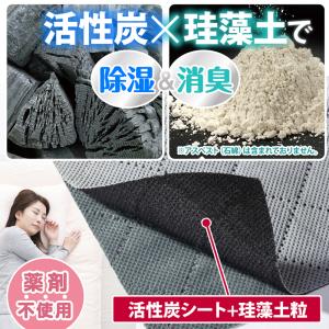 アストロ公式 除湿シート シングルサイズ用 グ...の詳細画像2