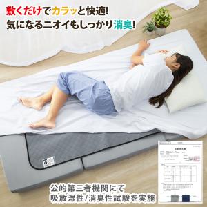 アストロ公式 除湿シート シングルサイズ用 グ...の詳細画像3