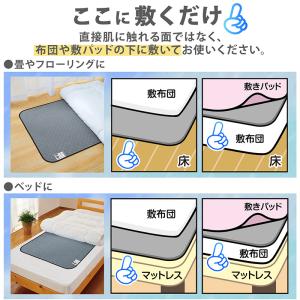 アストロ公式 除湿シート シングルサイズ用 グ...の詳細画像5