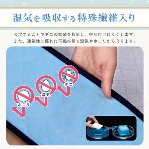 アストロ公式 製品保証付き 除湿で防ダニ 着物...の詳細画像5