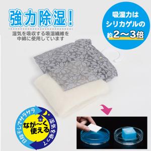 アストロ公式 吊り下げ除湿剤 20個組 送料無...の詳細画像1