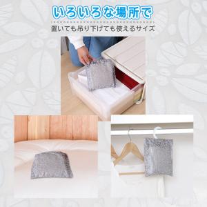 アストロ公式 吊り下げ除湿剤 20個組 送料無...の詳細画像3