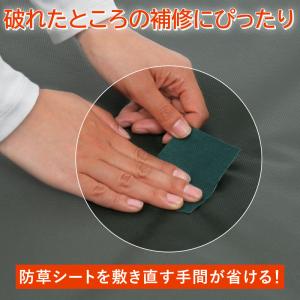 アストロ公式 防草シート用テープ グリーン 8...の詳細画像3