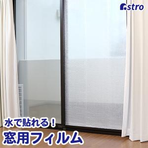 リンテックコマース 網入りガラス用ミラー断熱 O−D−651S