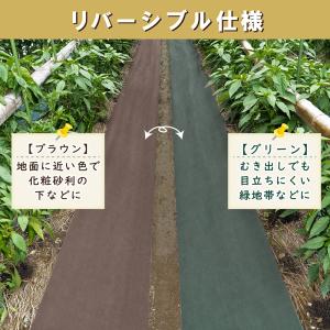 アストロ公式 製品保証付き 防草シート 1×5...の詳細画像1