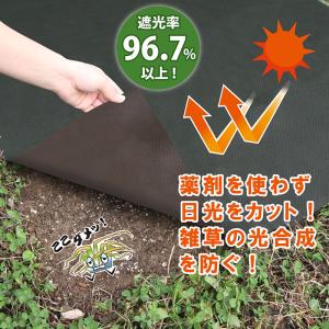 アストロ公式 製品保証付き 防草シート 1×5...の詳細画像2