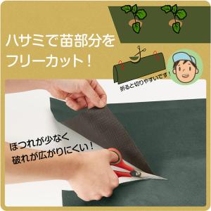 アストロ公式 製品保証付き 防草シート 1×5...の詳細画像4